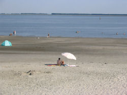 Strandje aan de Westerschelde bij Camping Scheldeoord
