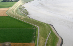 de Westerscheldedijk tussen Baarland en Ellewoutsdijk